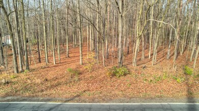 3615 Allegan Dam Rd unit LOT C, Valley Township, MI 49010 - photo 2