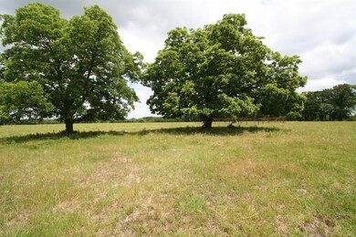 TBD 10a Texas 78, Bonham, TX 75418 - photo 7