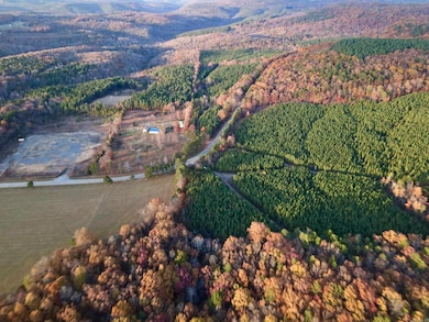 000 Cr 212, Clinton, AR 72031 - photo 6