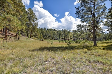 27.5 Acres Jemez Mountain Forest Rd 10, Jemez Springs, NM 87025 - photo 6