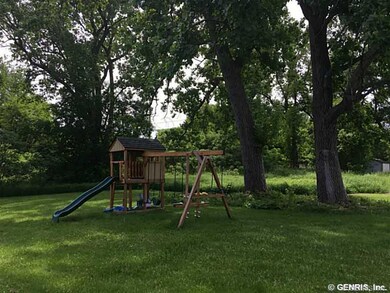 Backyard.
