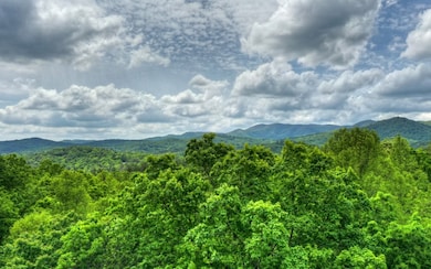 Additional View