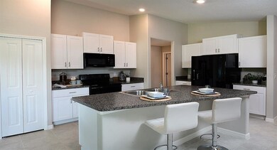 6953 King Creek Dr, Sun City Center, FL 33573 - photo 4