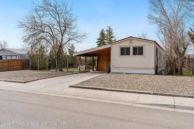 1226 Sequoia_002