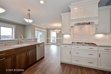 132 N Water St unit 403, Batavia, IL 60510 - photo 5