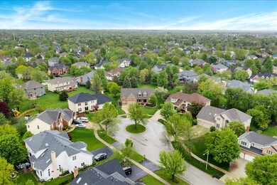 Neighborhood View
