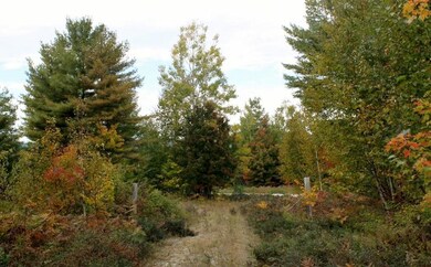 Lot 12 Ridgeview Rd, Harrison, ME 04040 - photo 6