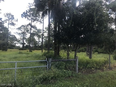 19950 Palm Beach Blvd, Alva, FL 33920 - photo 3