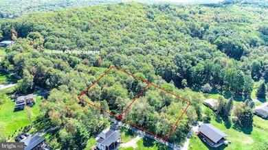 Lots 2 and 3 Fair Gate Rd, McHenry, MD 21541 - photo 2