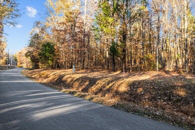 0 Cuba Landing Rd unit RTC3059775, Waverly, TN 37185 - photo 5