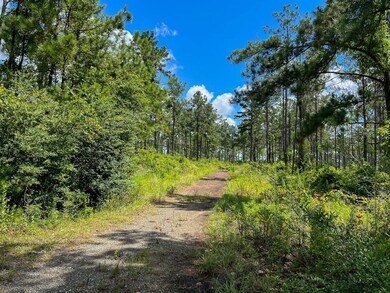 0 Cr 257 unit 22715481, Jasper, TX 75951 - photo 5