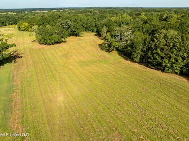 0 Cane Creek Rd unit 4132141, Flora, MS 39071 - photo 6