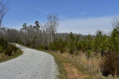 3 Millstone Creek Rd, Elberton, GA 30635 - photo 2