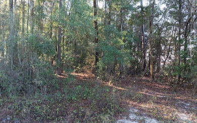 LT 16 280th Terrace, Branford, FL 32008 - photo 2