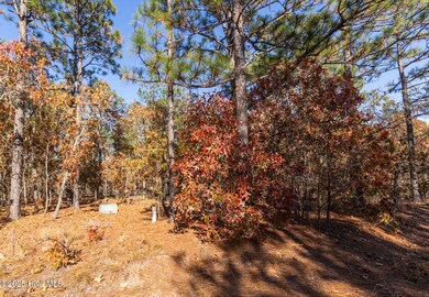 465 Roundabout Rd, Carthage, NC 28327 - photo 4