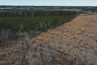 19.4 Ac. Nc 96 Hwy, Oxford, NC 27565 - photo 6