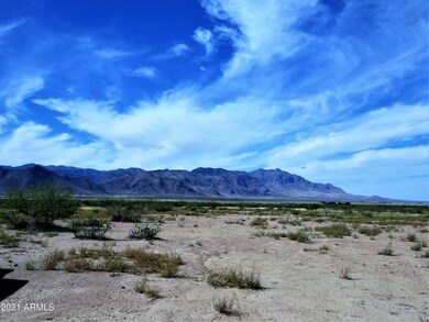 IMG_1711 (2)