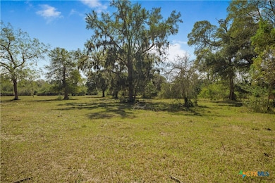 1733 County Road 284, Edna, TX 77957 - photo 6