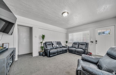 Carpeted living area featuring a textured ceiling and healthy amount of natural light