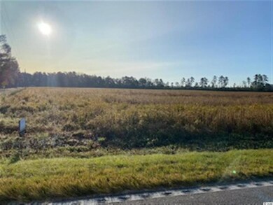 TBD Highway 66 unit Lot C, Conway, SC 29526 - photo 5