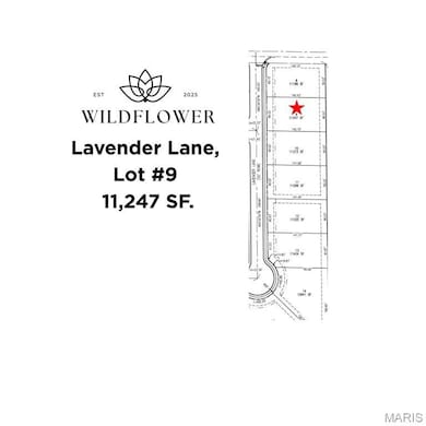 Lot #9 Survey Detail