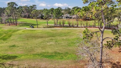 11741 SW 72nd Cir, Ocala, FL 34476 - photo 6