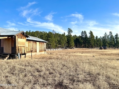 12405 Forest Service 772, Flagstaff, AZ 86001 - photo 4