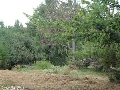 16 Frie Ln, Jonesboro, AR 72401 - photo 7