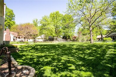 The shady yard is so pretty.