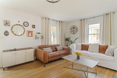 738 Lexington Ave, Charlottesville, VA 22902 - photo 7