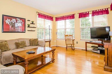 43459 Quigley Ln, Chantilly, VA 20152 - photo 4