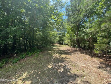 48 Megan Loop N, Hertford, NC 27944 - photo 5