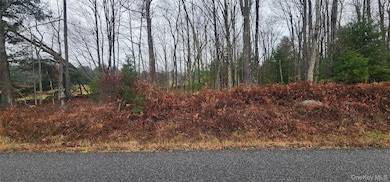 0 Thompsonville Rd, Thompson, NY 12701 - photo 3