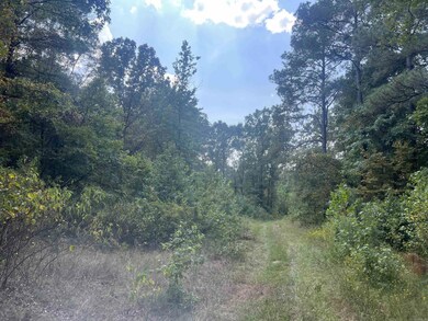 00 Lambert Rd, Wilmar, AR 71675 - photo 3