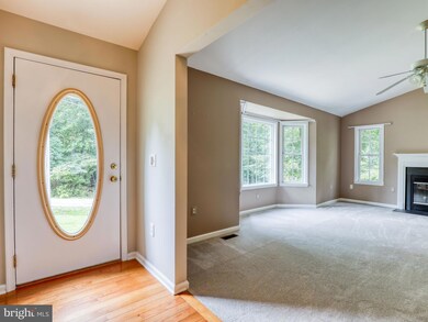 396 Persimmon Pear Ln, Harpers Ferry, WV 25425 - photo 5