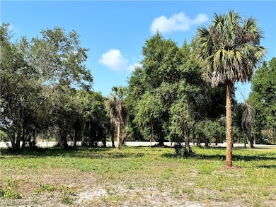 0 Magnolia Ave unit 224058486, Labelle, FL 33935 - photo 5