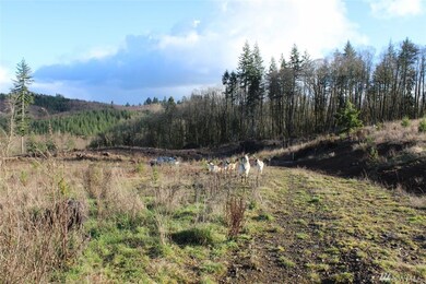 0 Xxx Slide Creek Rd, Longview, WA 98632 - photo 3