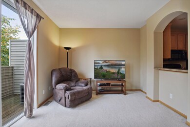 2605 136th St W unit 134, Rosemount, MN 55068 - photo 6