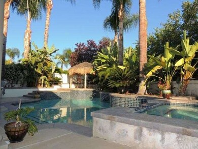 Tropical pool and spa with Palapa