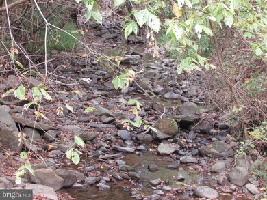 651 Gid Brown Hollow Rd, Washington, VA 22747 - photo 7