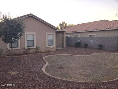 backyard 1