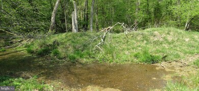 29408 Mine Run Rd, Unionville, VA 22567 - photo 4