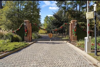 241 Eminence Ilse, Montgomery, TX 77316 - photo 4