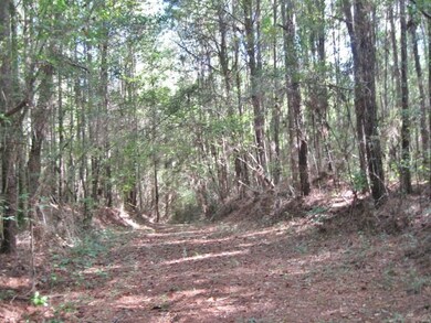 000 Sims Thornhill Rd, Tylertown, MS 39667 - photo 3