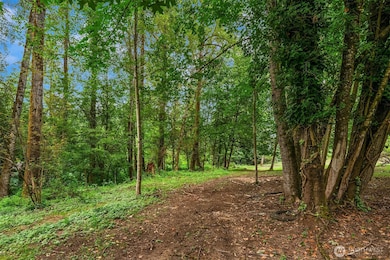 19270 303rd Place NE, Duvall, WA 98019 - photo 7