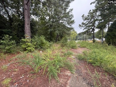 6 Heron Ct, Columbia, SC 29203 - photo 3