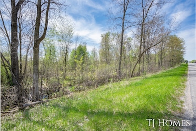 0 Michigan 79 unit 25022518, Hastings, MI 49058 - photo 3