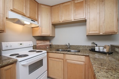 1307 Welch St unit 6, Houston, TX 77006 - photo 6