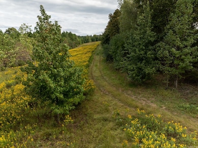 000 Goff Rd Via Easement, Quitman, AR 72131 - photo 6