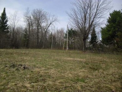 N 8992 Deer Tr, Tomahawk, WI 54487 - photo 2